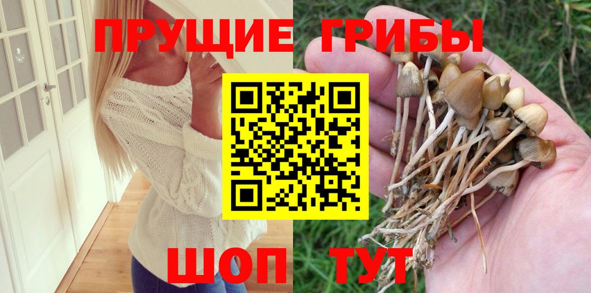 Псилоцибиновые грибы прущие грибы Лесной
