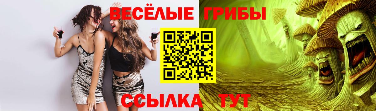 Лесной  Псилоцибиновые грибы Psilocybe  Вход с VPN 